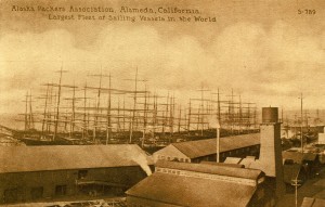 Alaska Packers Association, Alameda, California. Largest Fleet of Sailing Vessels in the World.                        